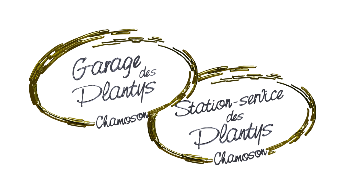 (c) Garagedesplantys.ch